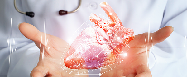 HeartValveXPERT